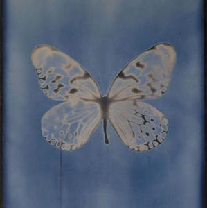 Meet your Posher, Isabel